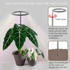 Upgraded Angel Halo Ring Table Plant Grow Light Second Generation, 48 Beads