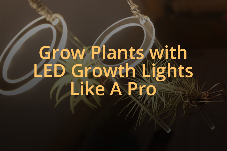 bulk led grow lights