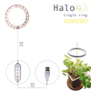 Single ring G2 with Timer Switch USB Small size LED Plant growth lamp Light for indoor plants from QX Factory wholesale