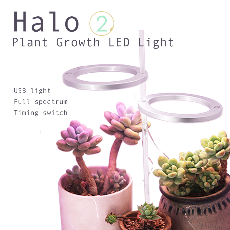Single ring G2 with Timer Switch USB Small size LED Plant growth lamp Light for indoor plants from QX Factory wholesale